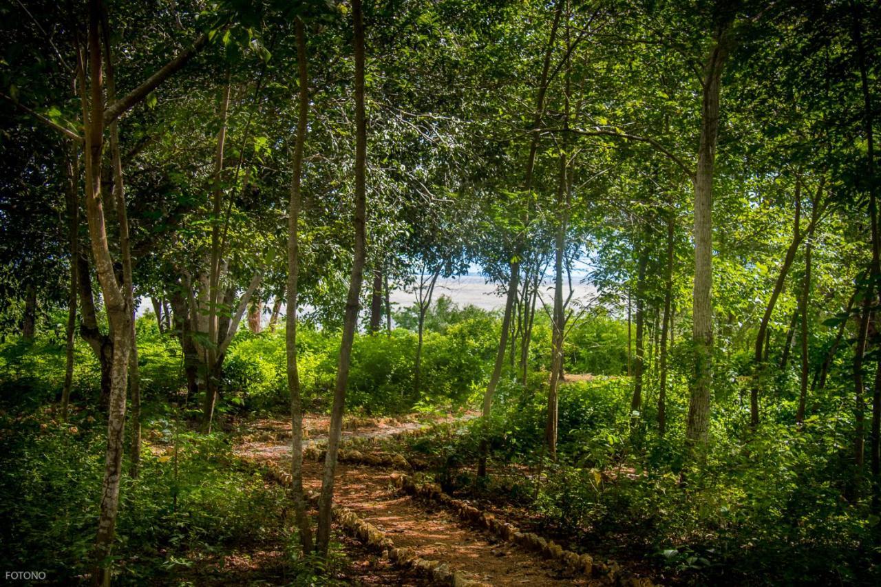 Отель Cayuco Camping Baru Santa Ana  Экстерьер фото