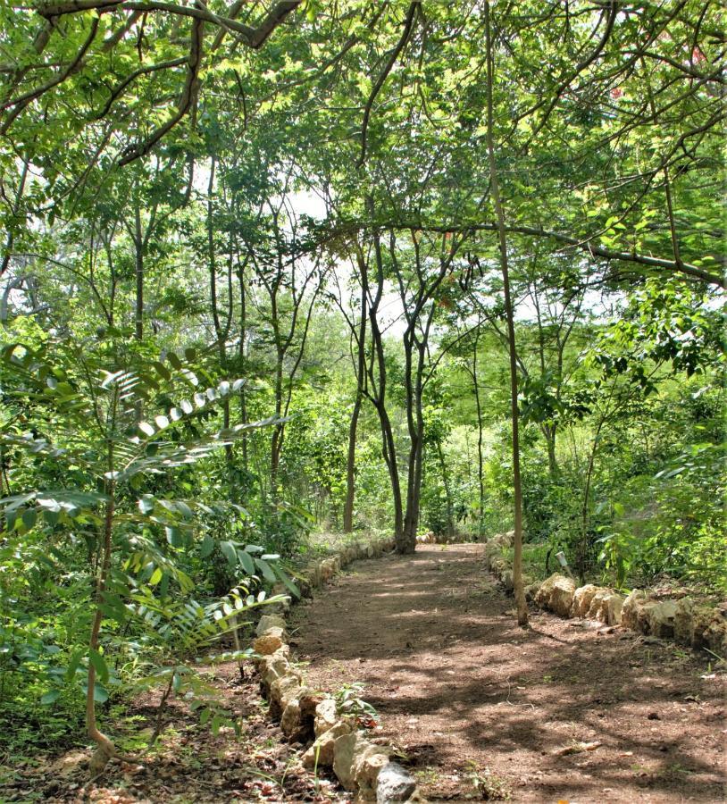 Отель Cayuco Camping Baru Santa Ana  Экстерьер фото
